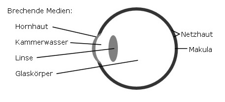 Das Auge als optischer Apparat - Druckversion